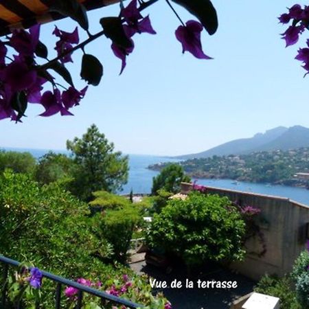 Studio A Theoule Sur Mer A 400 M De La Plage Avec Vue Sur La Mer Terrasse Amenagee Et Wifi公寓 外观 照片