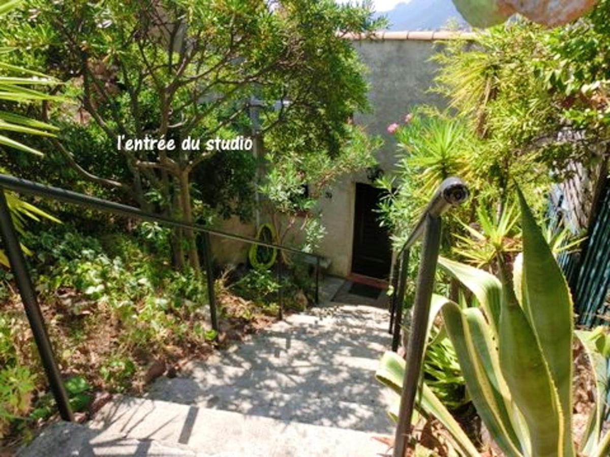 Studio A Theoule Sur Mer A 400 M De La Plage Avec Vue Sur La Mer Terrasse Amenagee Et Wifi公寓 外观 照片