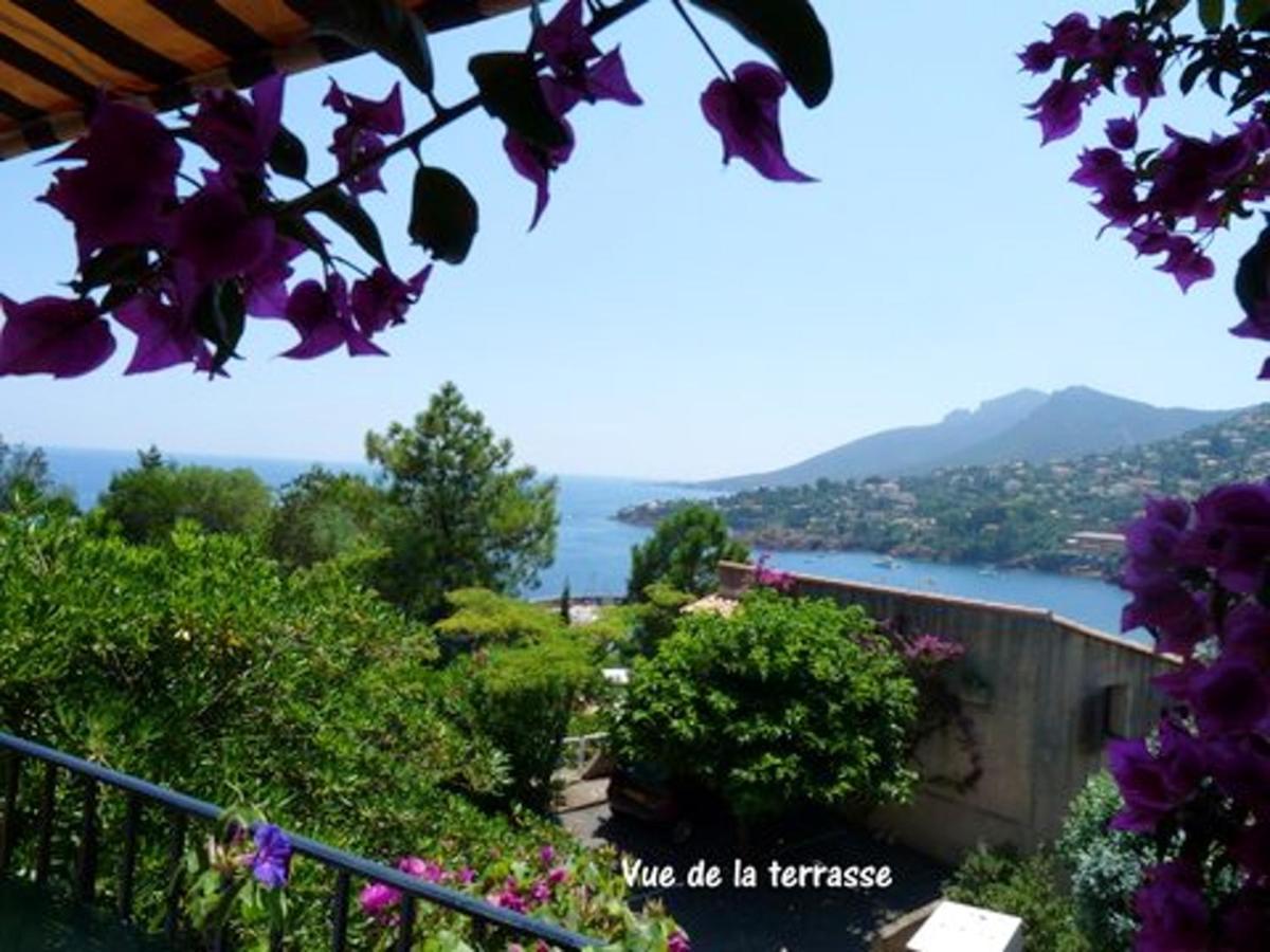 Studio A Theoule Sur Mer A 400 M De La Plage Avec Vue Sur La Mer Terrasse Amenagee Et Wifi公寓 外观 照片